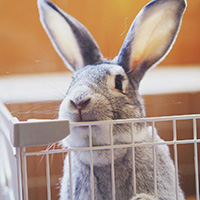 �_����@��_���